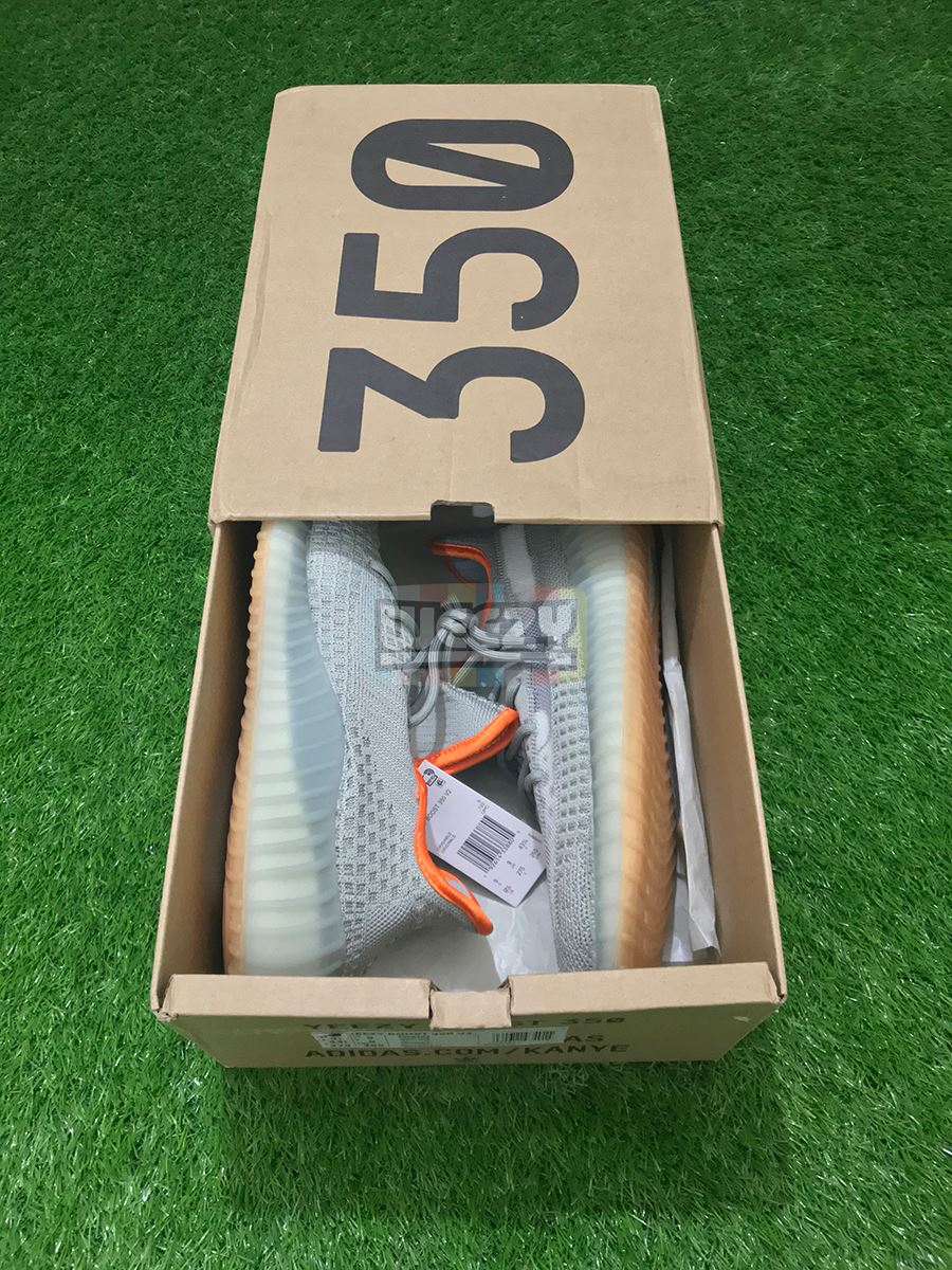 Adidas Yeezy 350 V2 (DS)