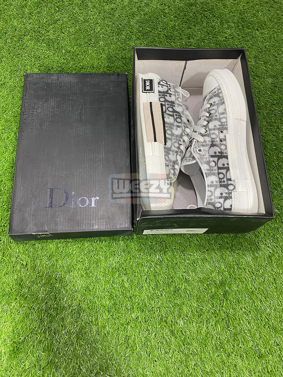 Dior B23 Dior (Low)