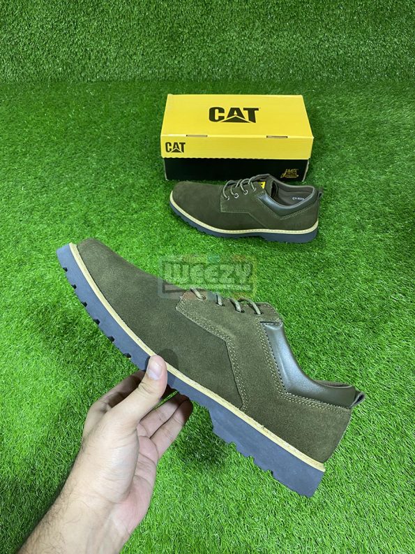 CAT Suede (Olive) IMG_3920