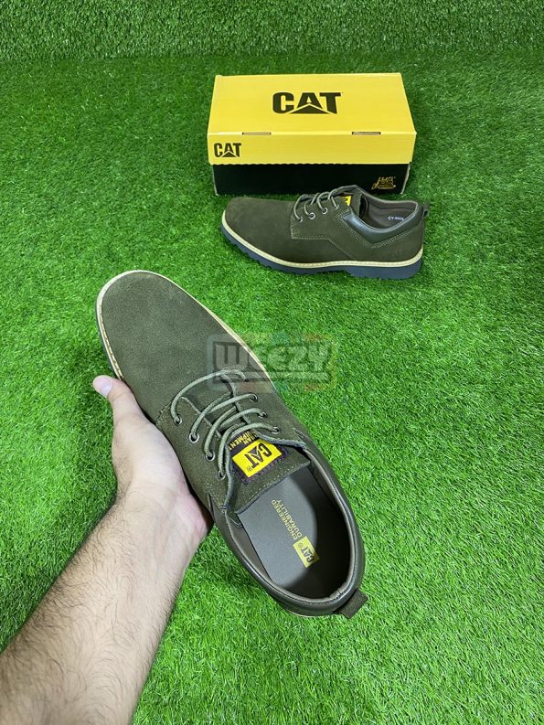 CAT Suede (Olive) IMG_3931